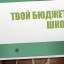 Проект "Твой бюджет в школе"