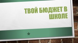 Проект "Твой бюджет в школе"