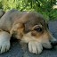 Акция "Доброе дело".