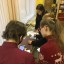 Городской игровой командный историко-краеведческий музейный конкурс &laquo;Операция &laquo;Нева-2&raquo;.