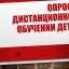 Опрос родителей и учителей по вопросу организации дистанционного обучения детей.